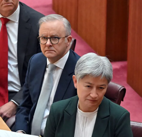 Coalition Tea Lady tweet media