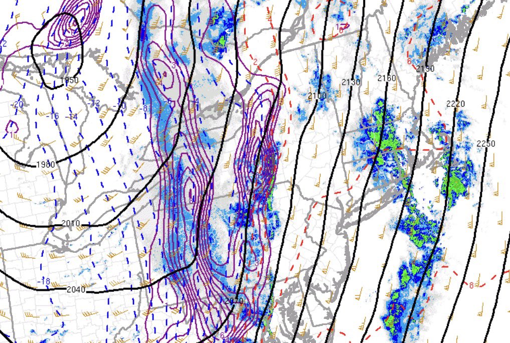 joseph martucci tweet media