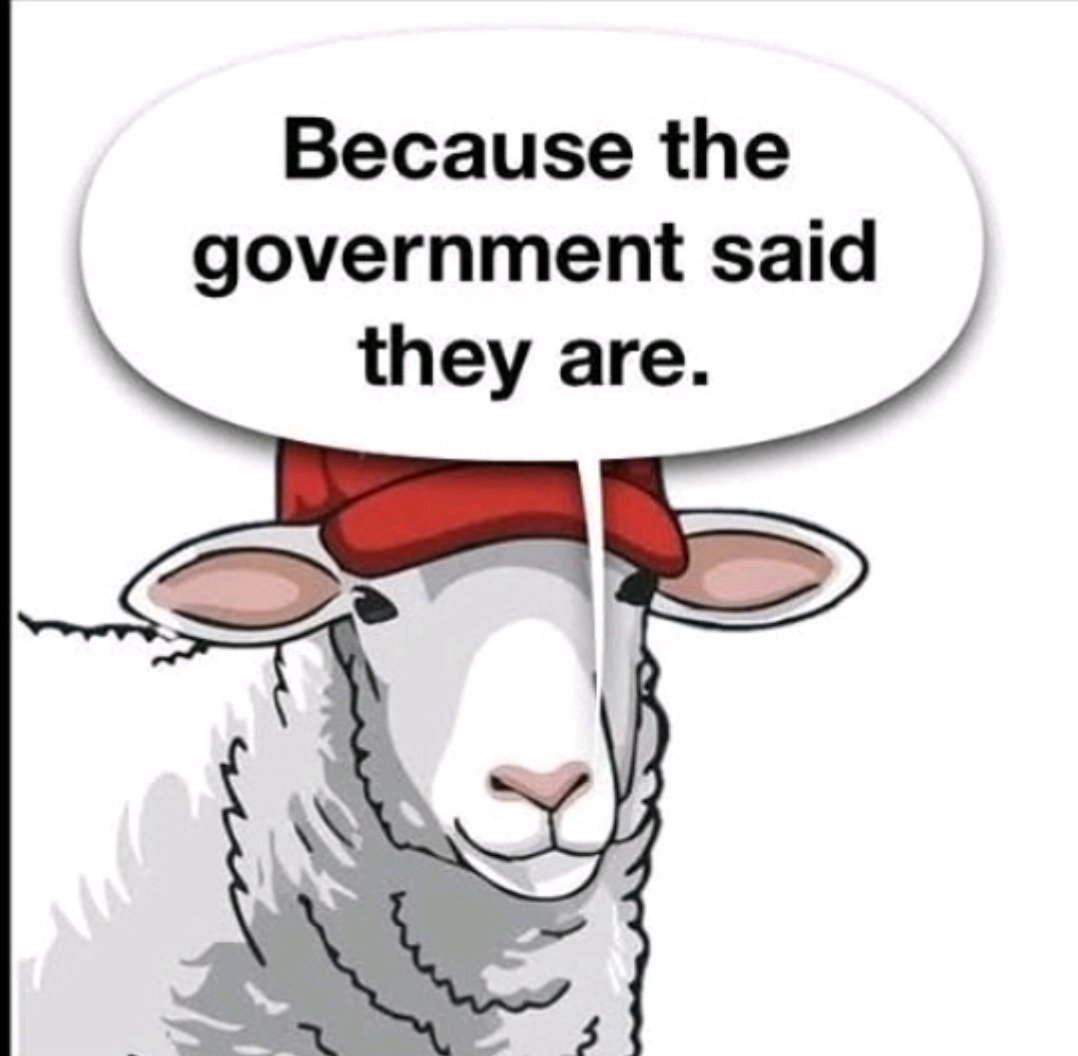 JL Brown tweet media