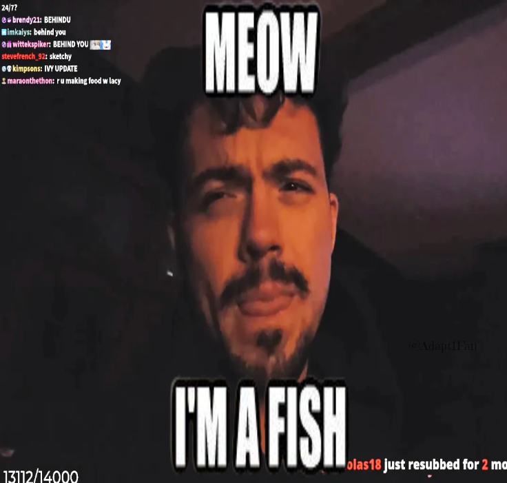 Adapt1Fan tweet media