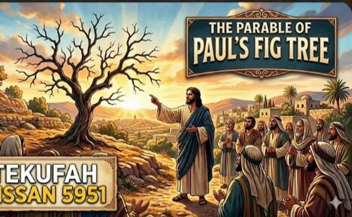 When 99.99% of Christians are lawless from following your words, we can see and testify you bore no fruit. Therefor you are cut off.