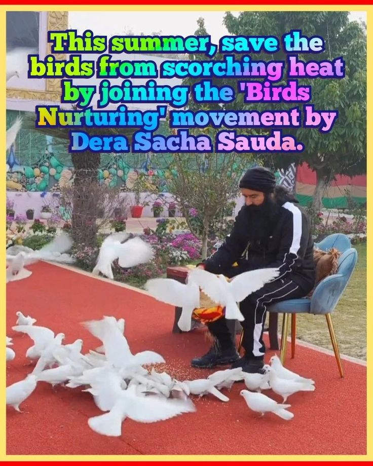 jaura_rehmat's tweet photo. Blessings start, when we learn to be kind.... 

Like other welfare initiatives started by Saint Gurmeet Ram Rahim Ji, #BirdNurturing initiative aims to support &amp; protect birds, specifically during extreme weather conditions when water and food are scarce.
Let's be kind to birds. https://t.co/yqv9NmS18w