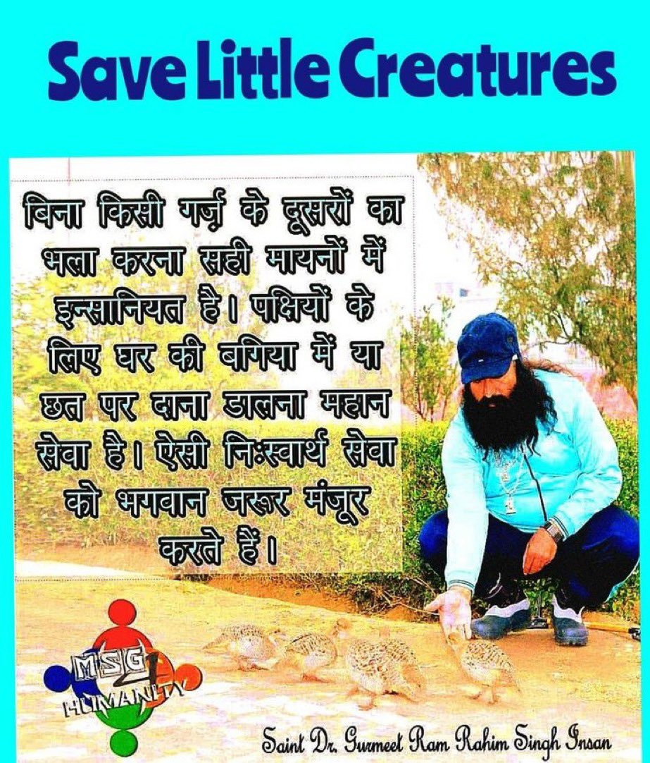 Shan862309Shan's tweet photo. In today's busy world, let's not forget the voiceless birds around us. Inspired by Saint Gurmeet Ram Rahim Ji, volunteers place food, water, and nests to care for them. A small act of kindness through #BirdNurturing can help save many precious lives. https://t.co/YtKCIi4tv2