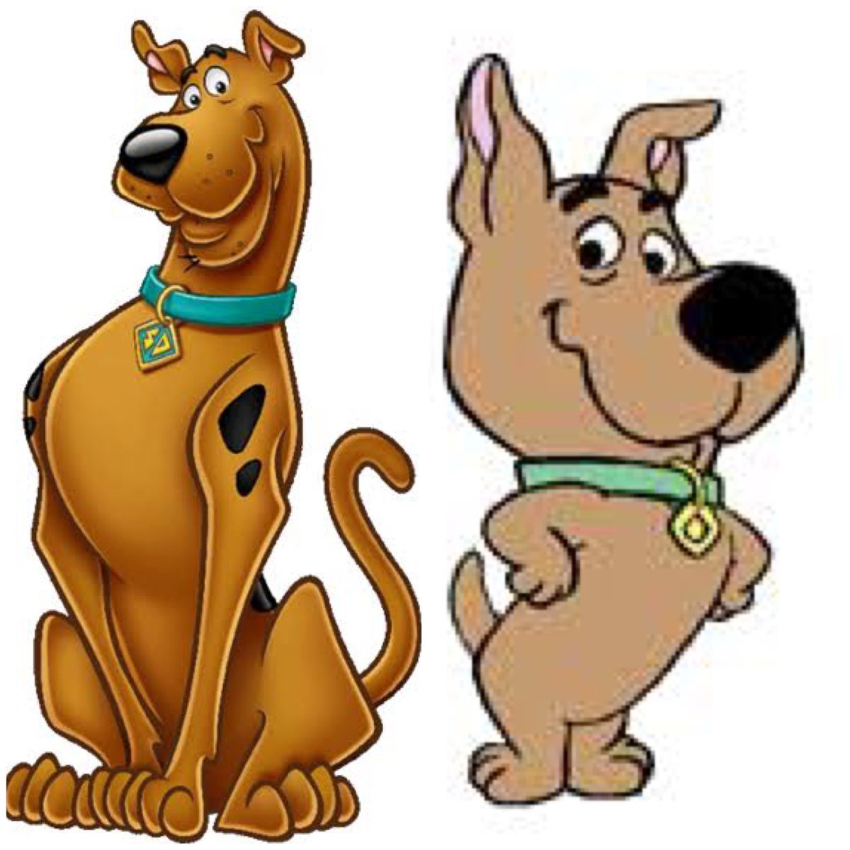 Missouri Howell tweet media