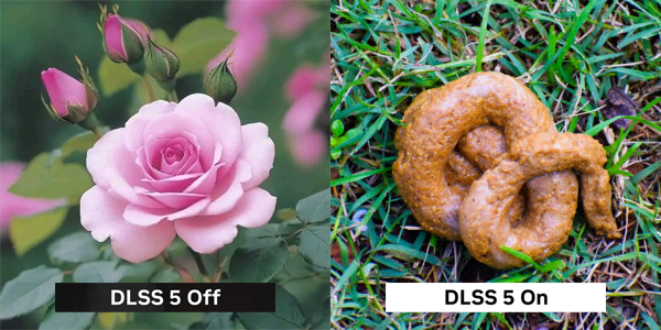 EvilMark 💙💜🧡🇺🇸 tweet media