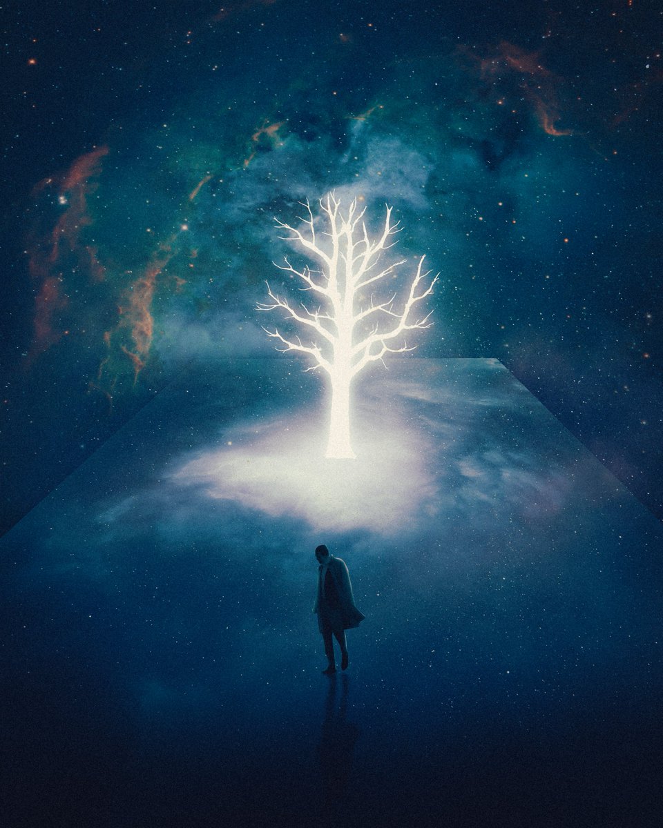 Wilman Aro tweet media