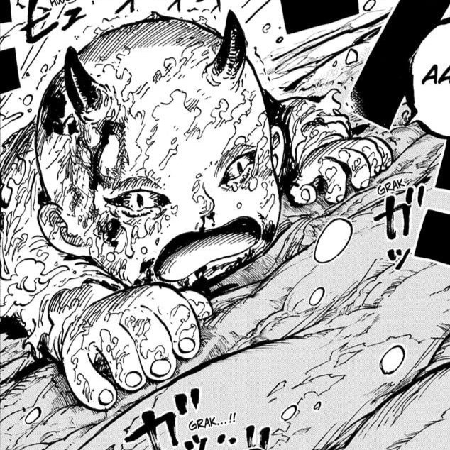 straw hat fuly tweet media