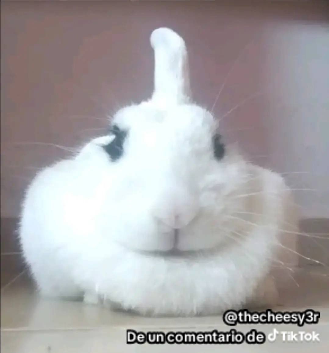 🔞🎄~OscarPro53~🎄🔞 tweet media