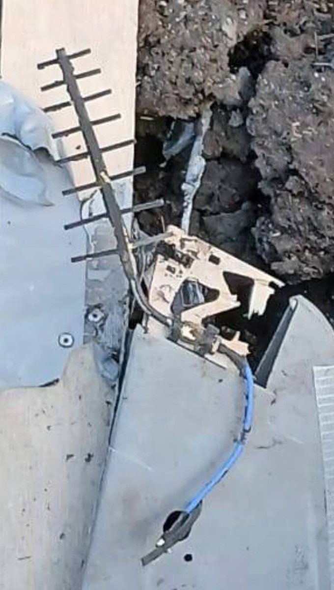 Roy🇨🇦 tweet media