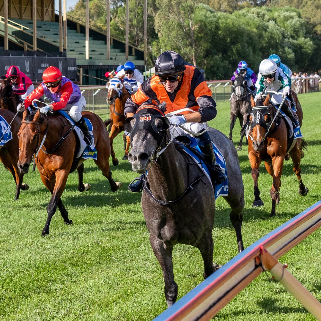 Dare To Dream tweet media