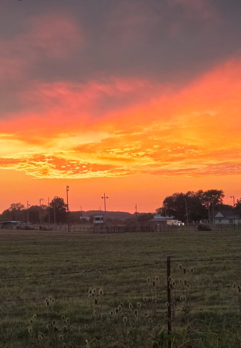 PolkCo.Line tweet media