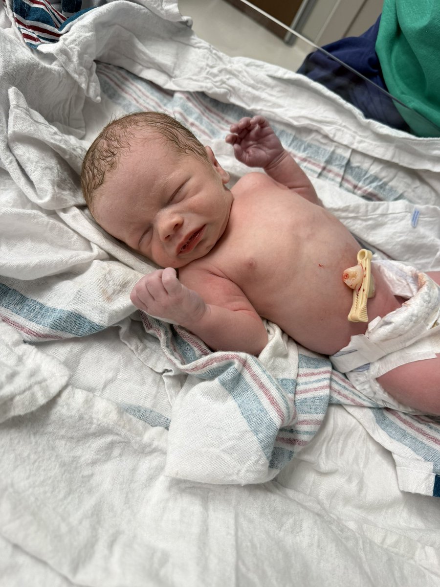 Terry Schilling 🇺🇸 tweet media