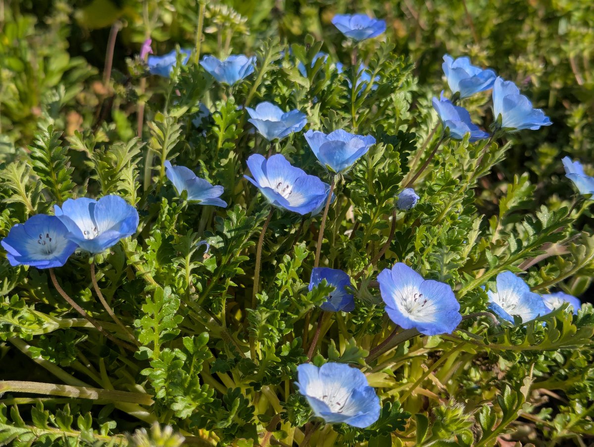 旅先での写真 tweet media