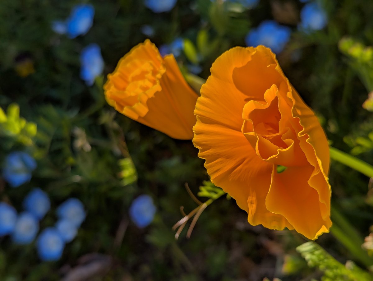 旅先での写真 tweet media