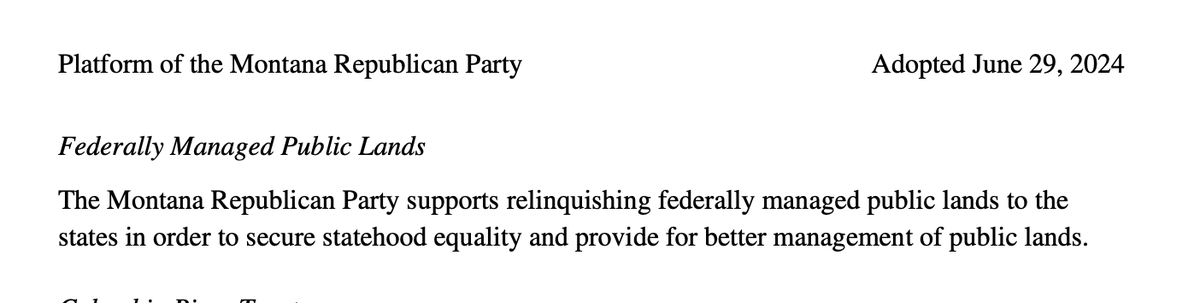 Chris D'Angelo tweet media