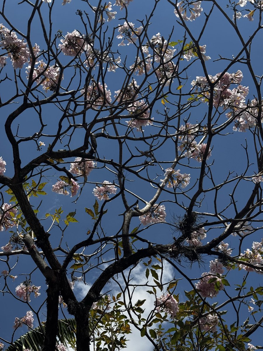 Steph González tweet media