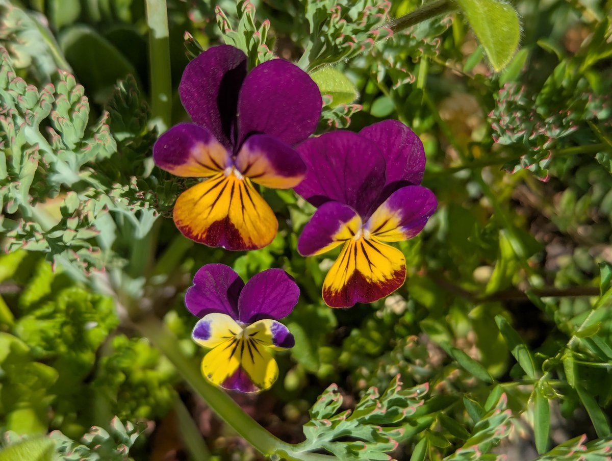 旅先での写真 tweet media