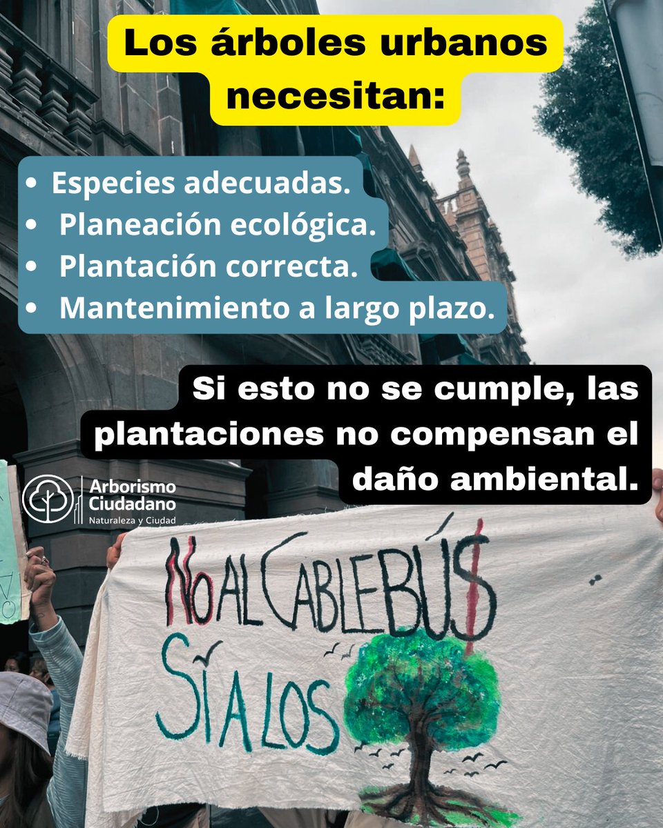 Arborismo Ciudadano tweet media