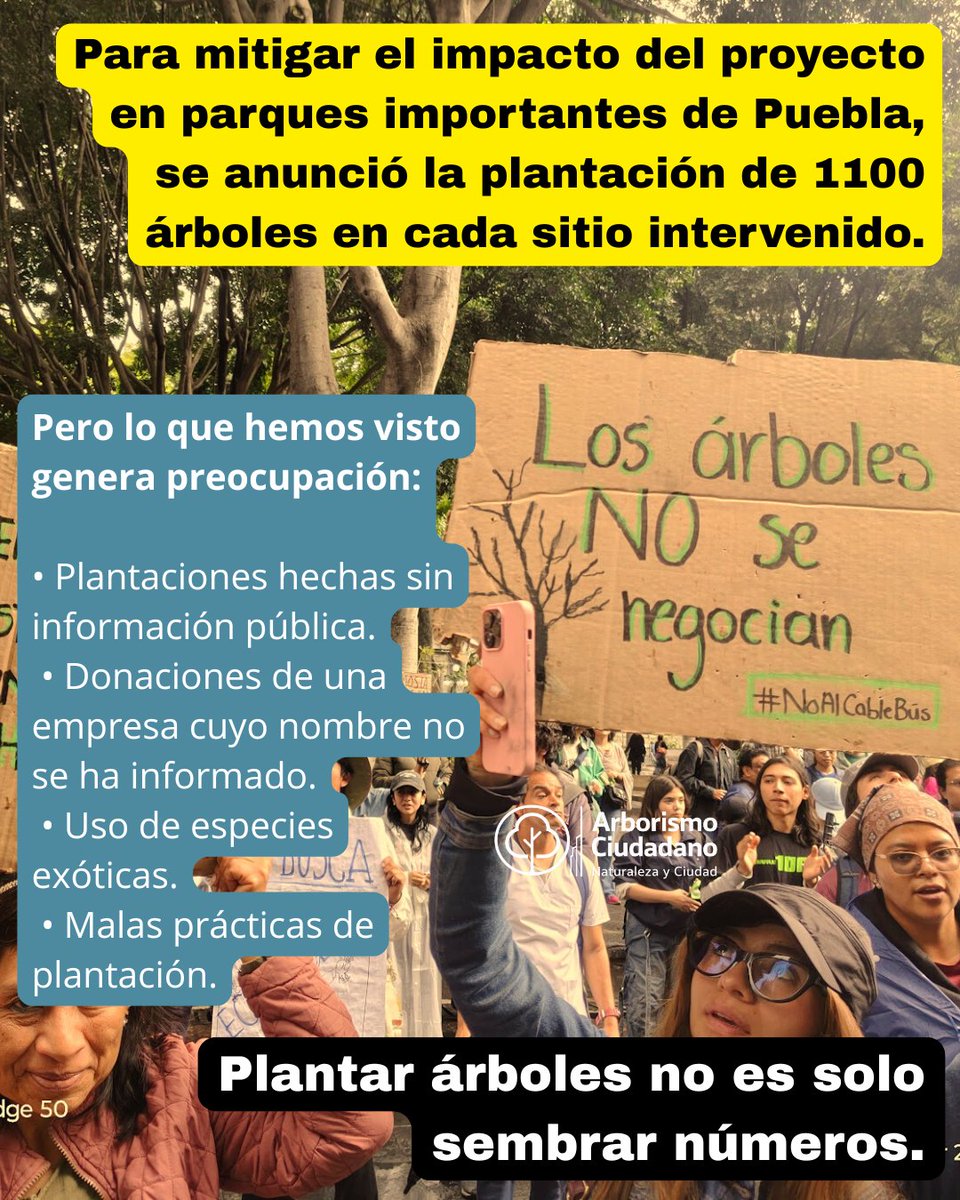 Arborismo Ciudadano tweet media