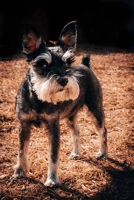 Sara Sparks tweet media