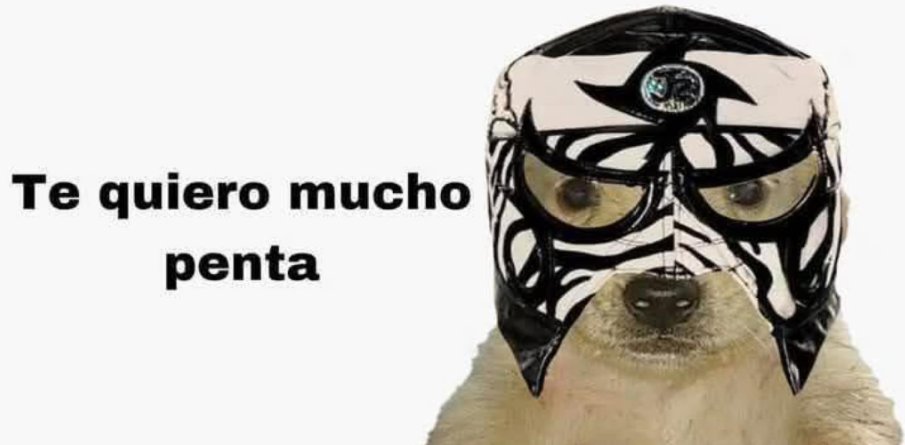 Uliecc's tweet photo. @LuigiWrestling https://t.co/qj4PATYuCi