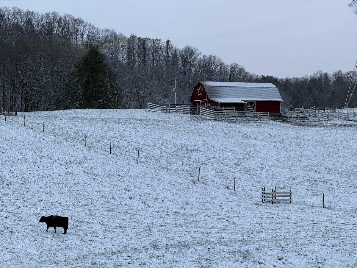 Real Appalachia tweet media