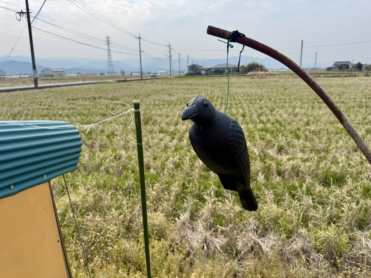 Chris Arnade 🐢🐱🚌 tweet media