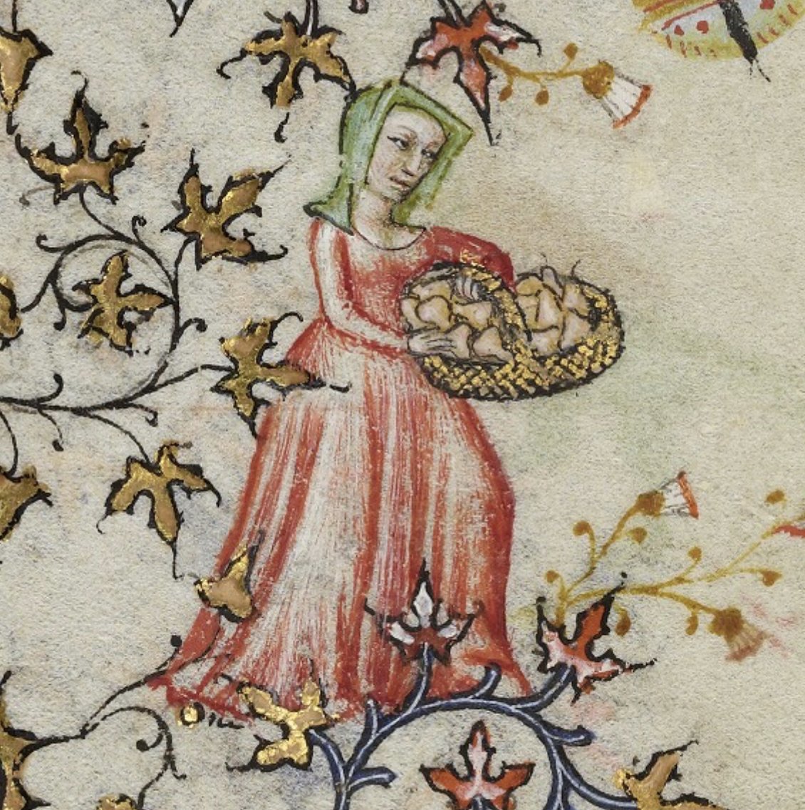 Dr Lacey Bonar Hull tweet media