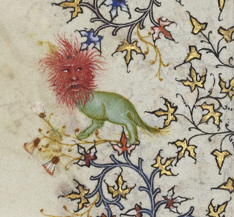 Dr Lacey Bonar Hull tweet media