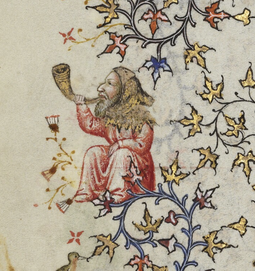 Dr Lacey Bonar Hull tweet media