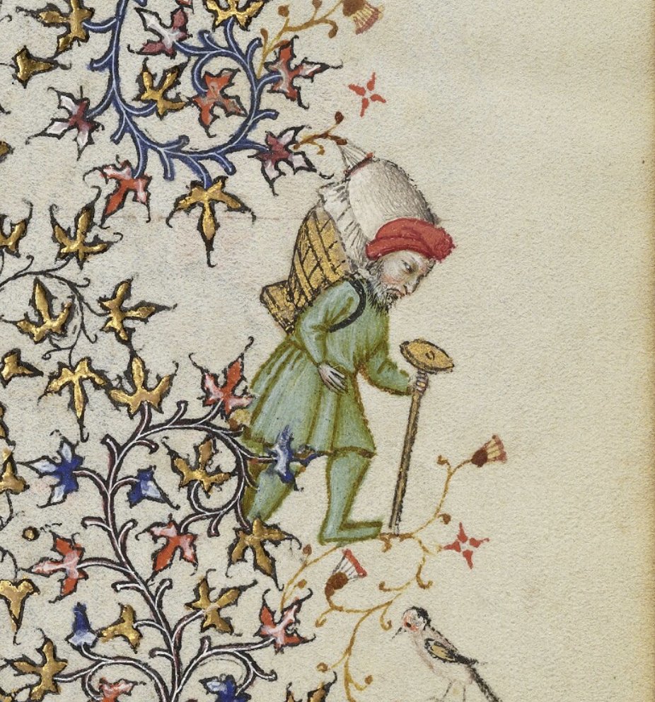 Dr Lacey Bonar Hull tweet media