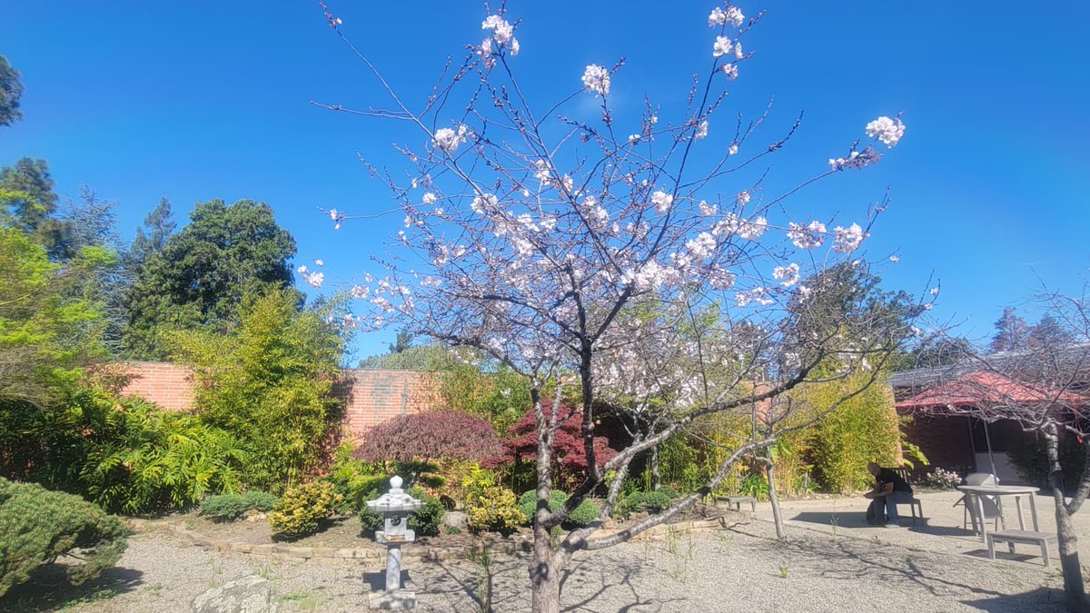 CSUEB Continuing Ed tweet media