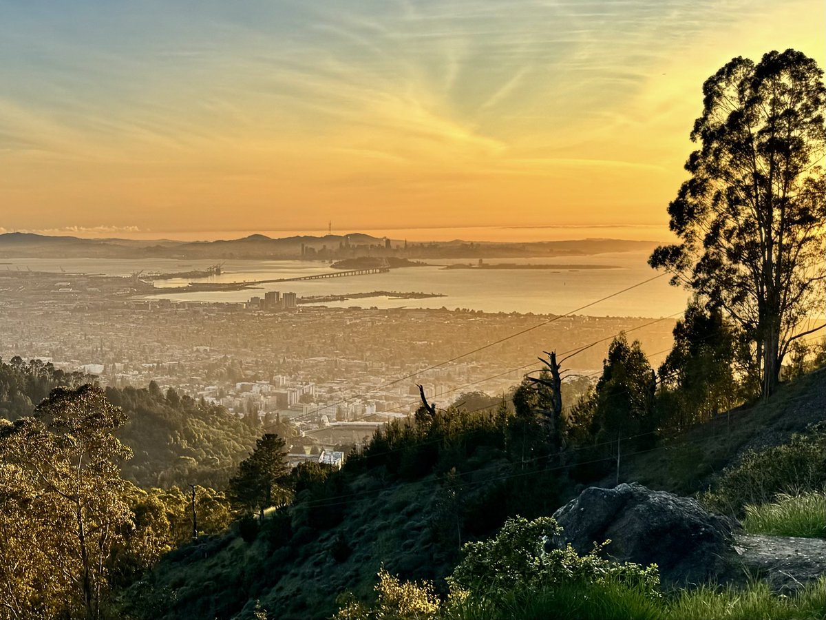 James Olzmann tweet media