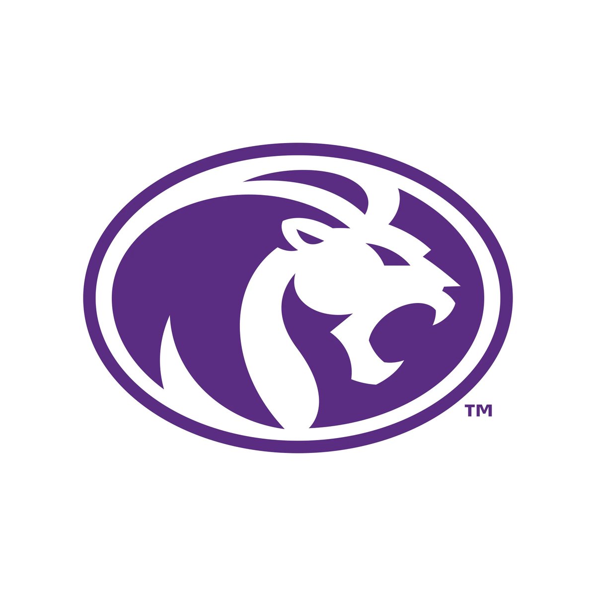 COHEN JONES 2027 TE tweet media