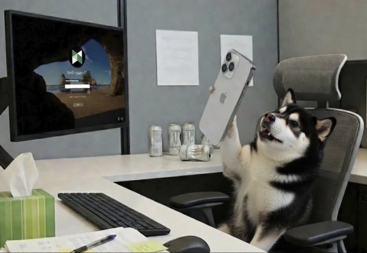 tibor.sui tweet media