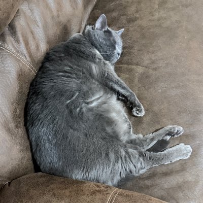 NicWatching 🇺🇸 tweet media