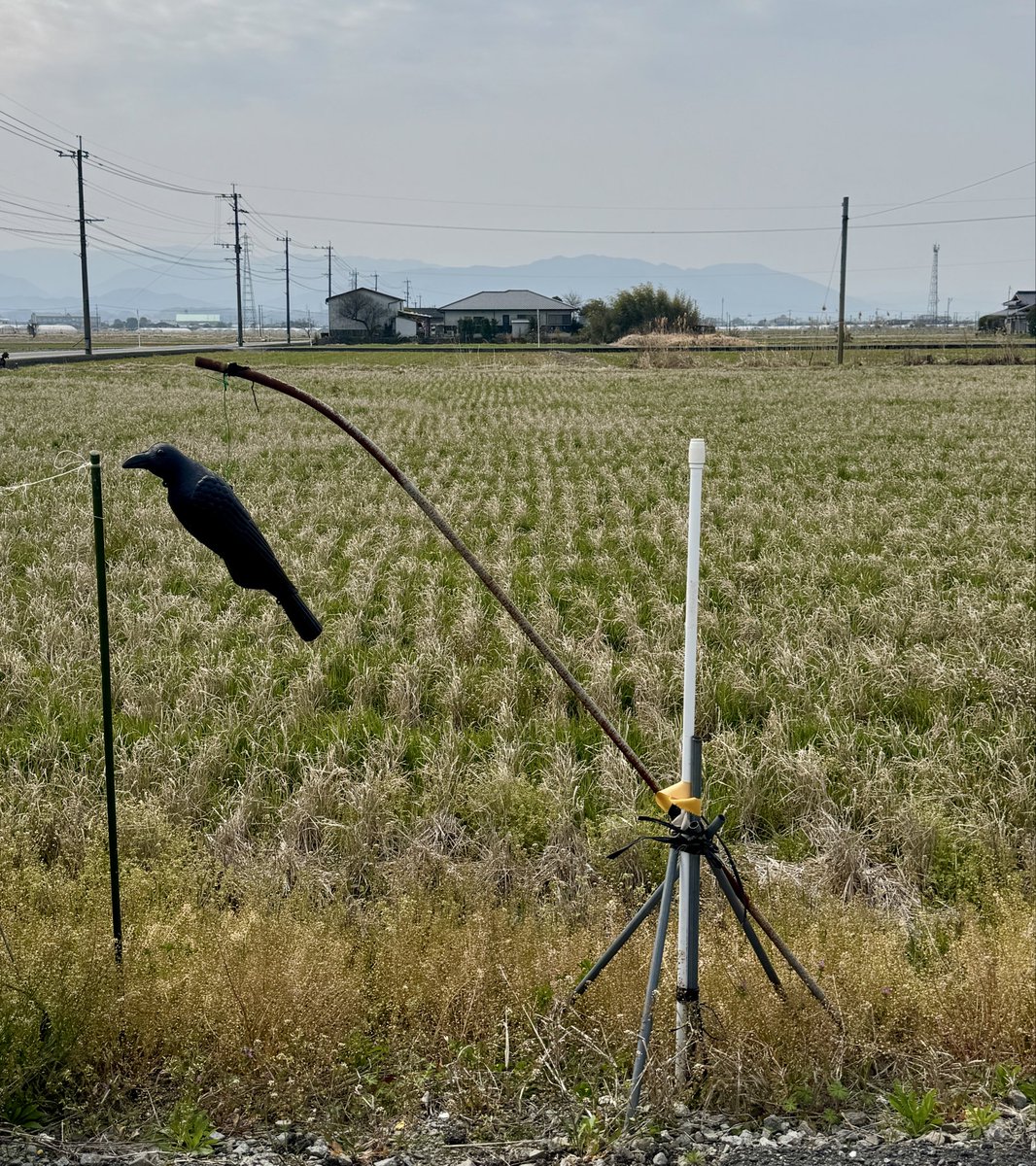 Chris Arnade 🐢🐱🚌 tweet media