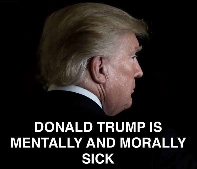 Amber Jehangir🇵🇰🇵🇸 tweet media