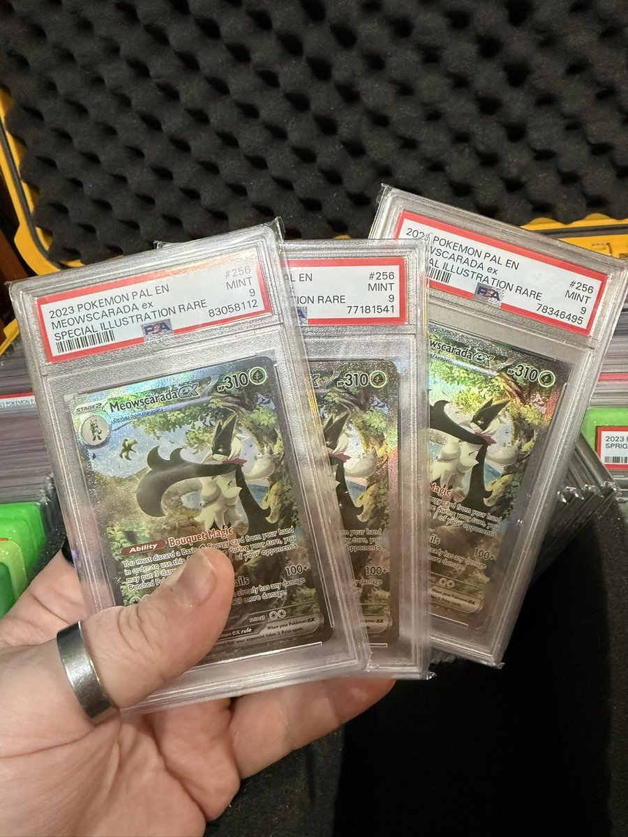 delta!「メガフォーム」🐦⬛🍃⚡️ tweet media