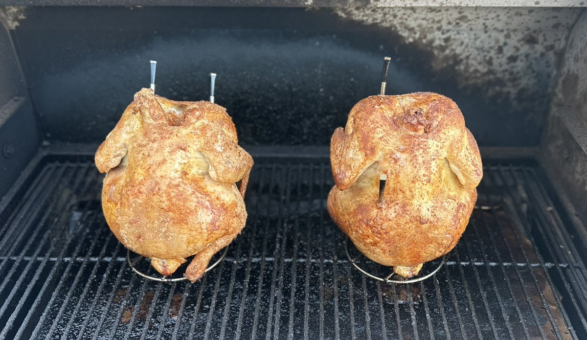 Living Life tweet media