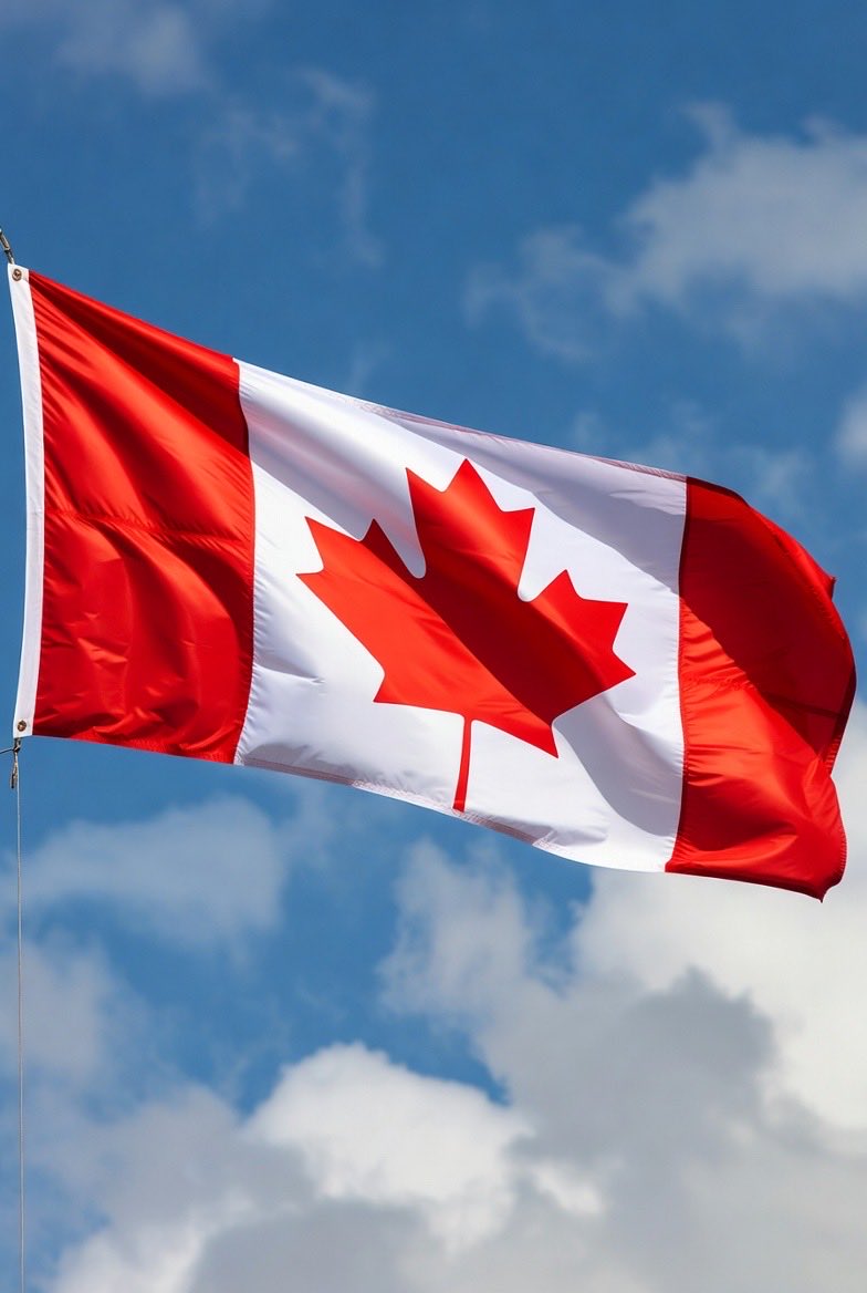 I am Canadian.  

My grandparents came to this country as immigrants, looking for a better life.

They arrived with nothing, and were given nothing by the government; nor did they ask for anything.  

My grandfathers worked hard. One opened a business with partners, the other