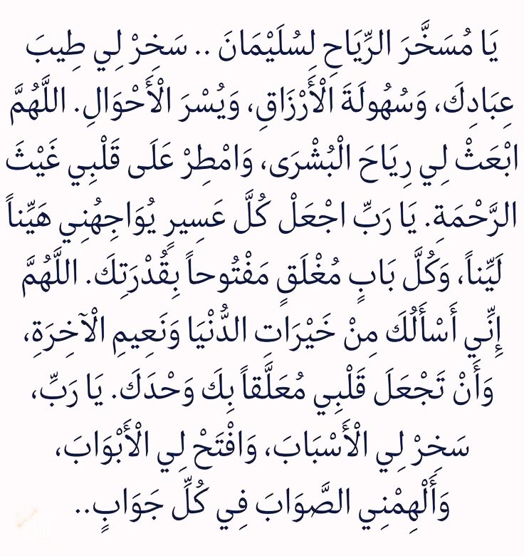الشريف اسامه خليف tweet media