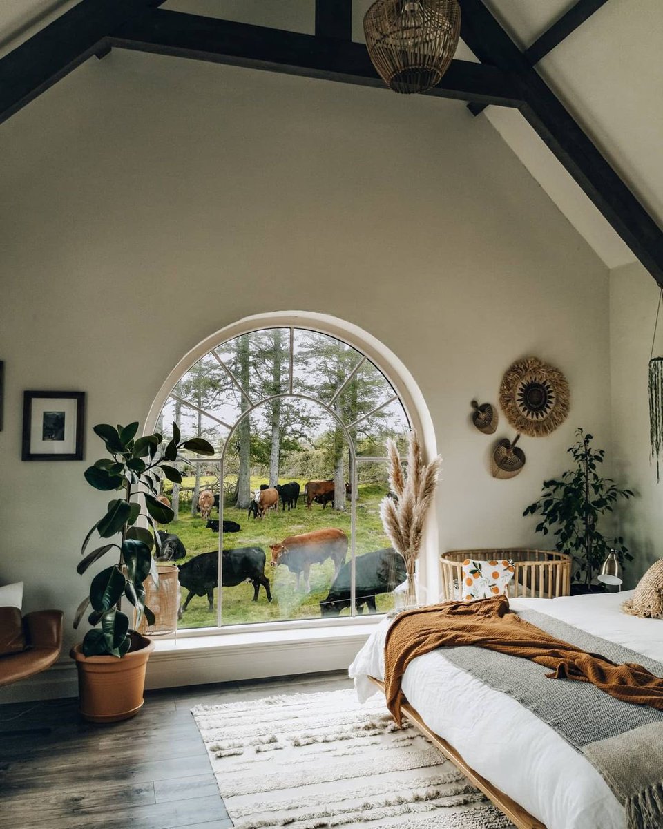 WanderingCynthia tweet media