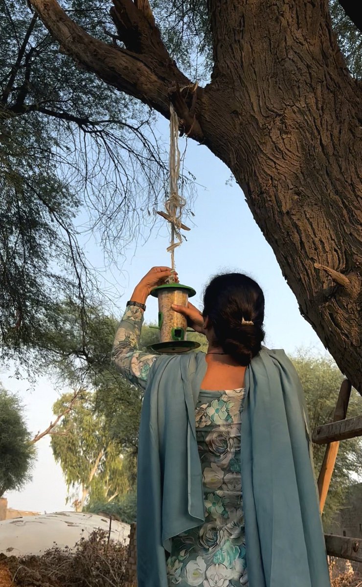 Savi1123's tweet photo. Heatwaves hit hard!
Be thoughtful about voiceless creature which depend on  human. 
So save some time for them &amp; Place food &amp; water for birds 🐦&amp; make their lives easier 🌸 as all the devotees of DSS are doing following the guidance of Saint Gurmeet Ram Rahim Ji.
#BirdNurturing https://t.co/5mSHpM2txL