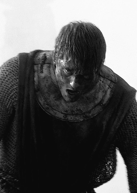 Nobody 🦭 tweet media