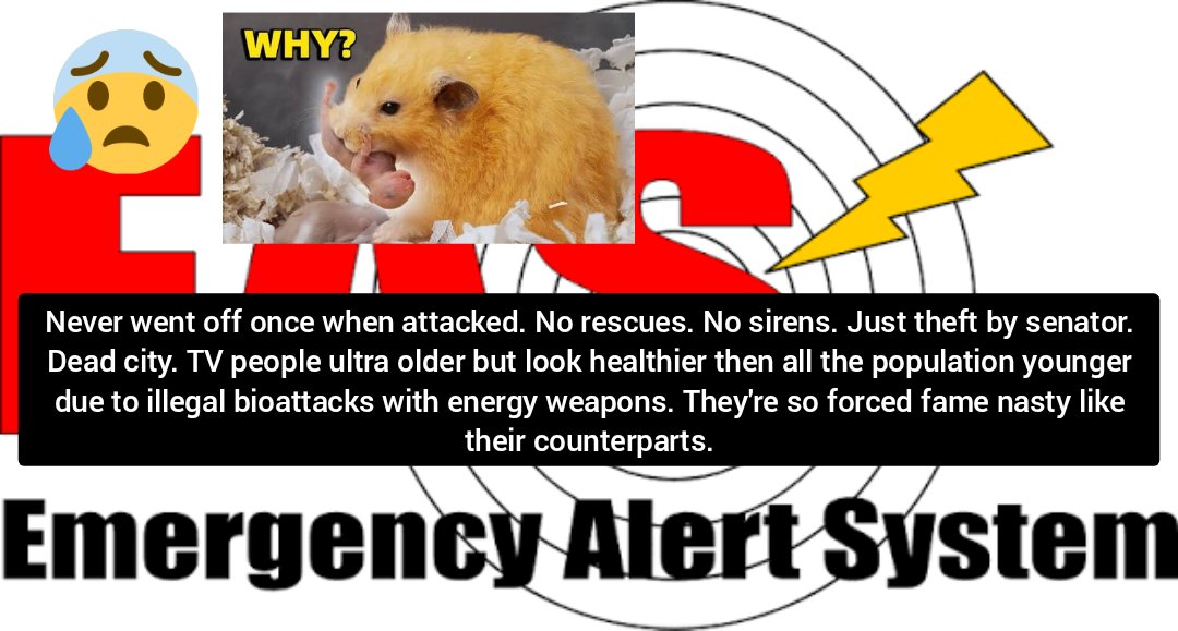 TwoFiveK9's tweet image. You are #not #authorized to play w/all that equipment they way you are youre a reject by board of education or anything else &amp;amp; #felons all over your tv nees station. Even the governor. Youre not national guards youre nothing but invaders &amp;amp; law breakers. Lets world judge you.