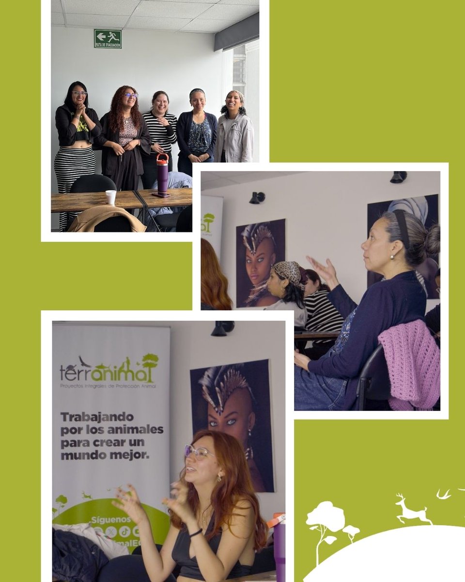 Terranimal Ecuador tweet media