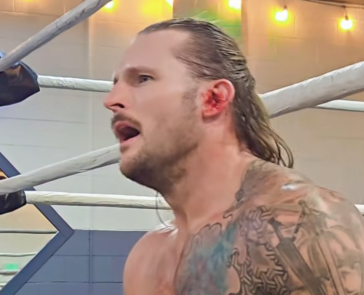 'Hysterical' Shane Haste tweet media