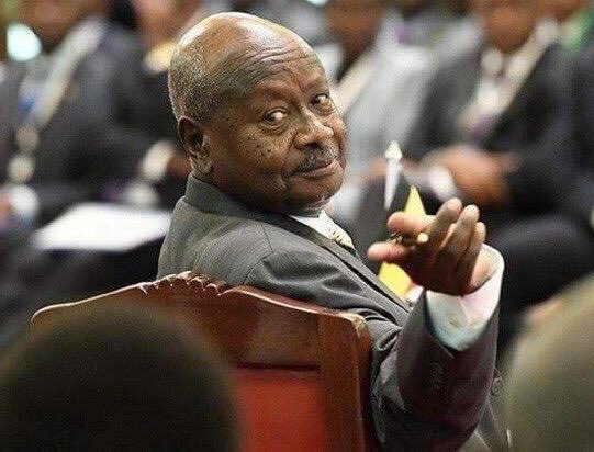 PUNDIT (fan) tweet media