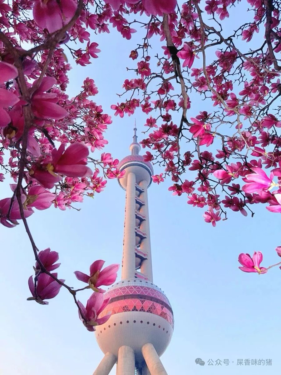 wuy83059's tweet photo. 早安，愿一切美好如期到来 https://t.co/LbQBJmZ38s